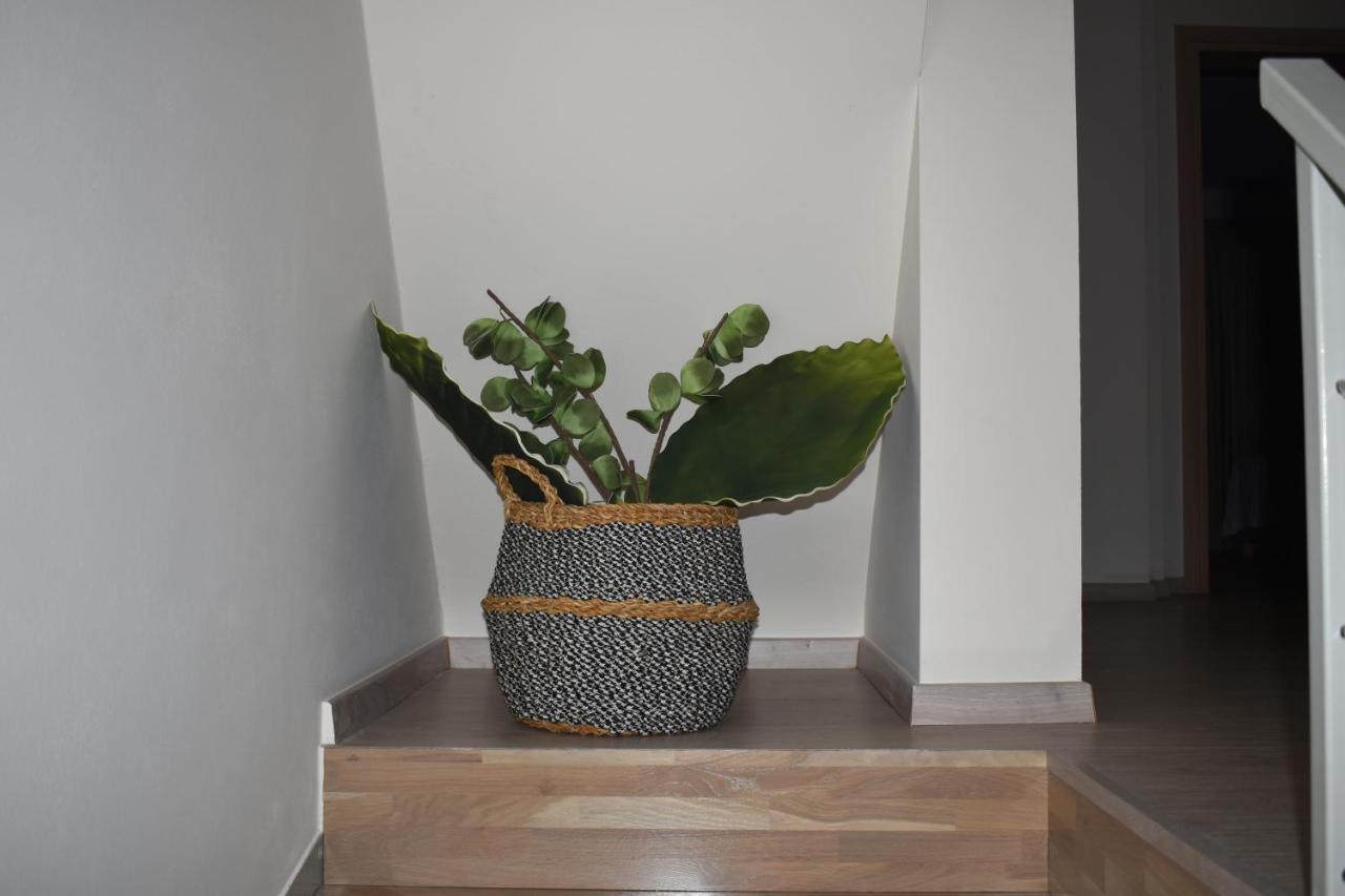 Gallery Art Apartment خانيا المظهر الخارجي الصورة
